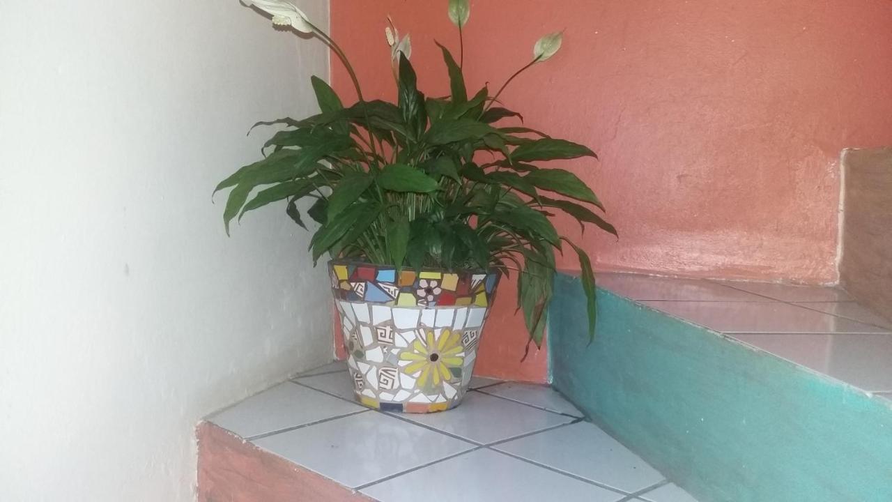 Casa Hostel Mosaicos Dya Florianópolis Extérieur photo